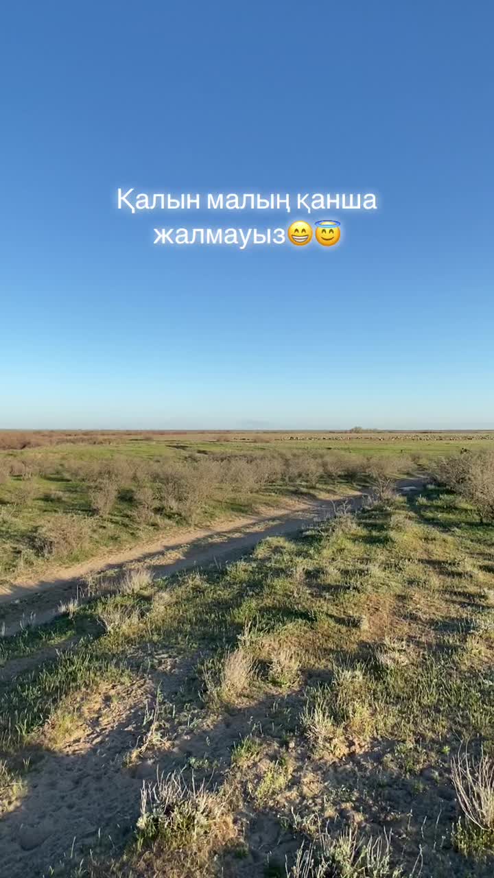@Nurasyl