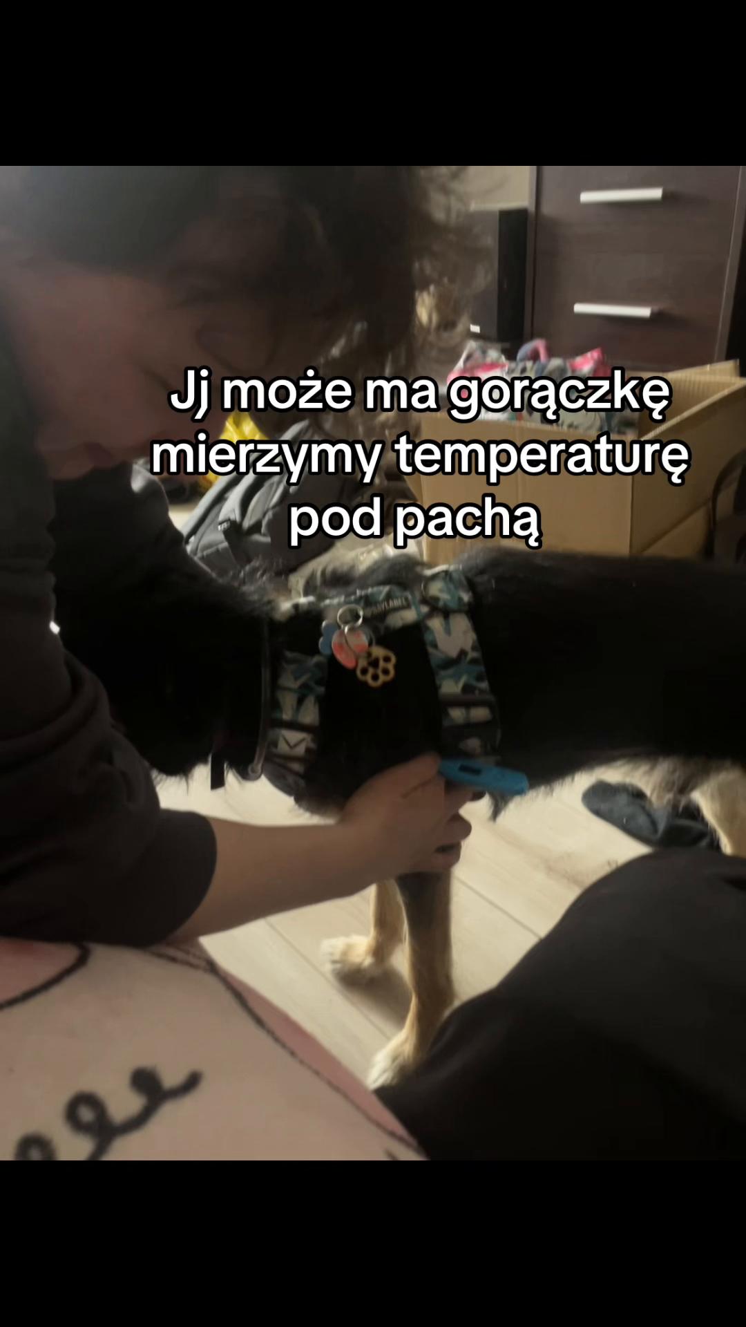 @siur