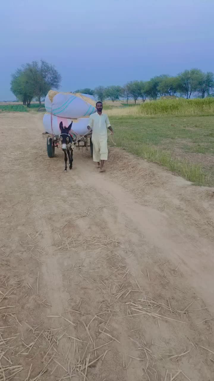 @JUNAID$IDHU