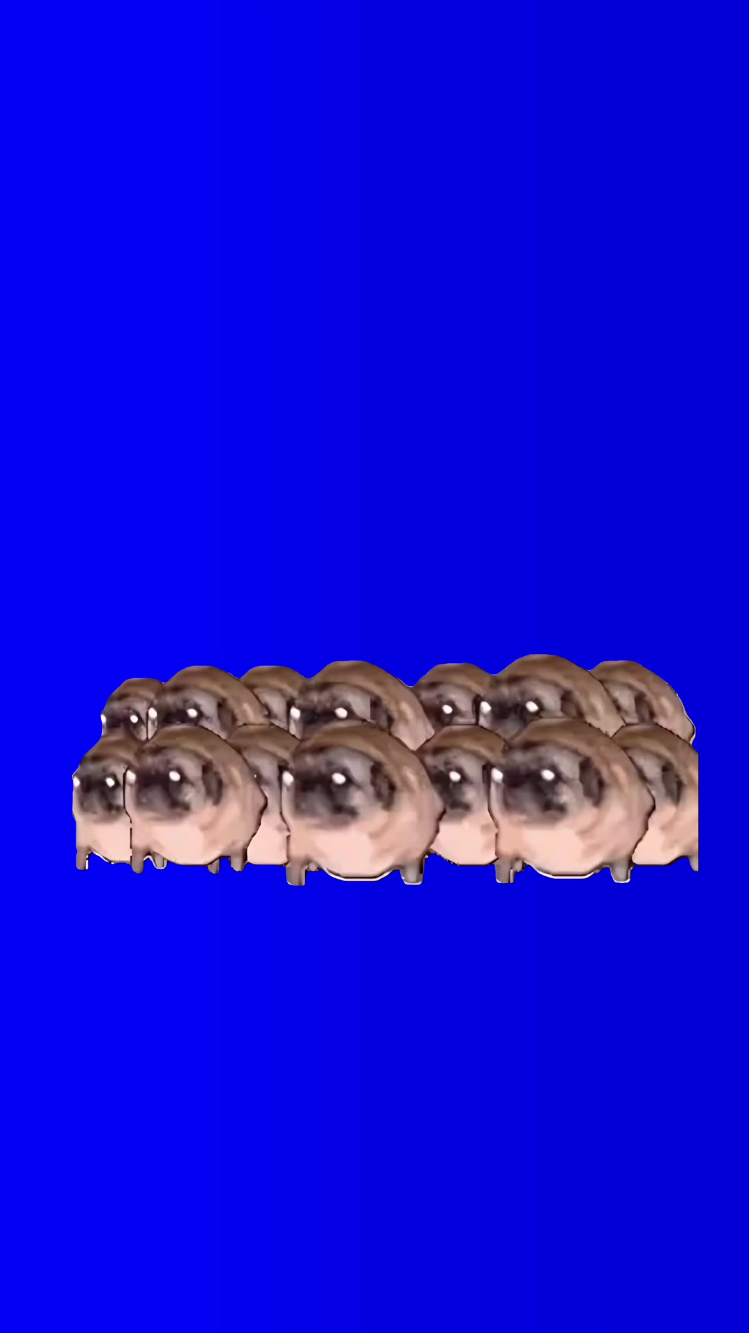 @fundip50