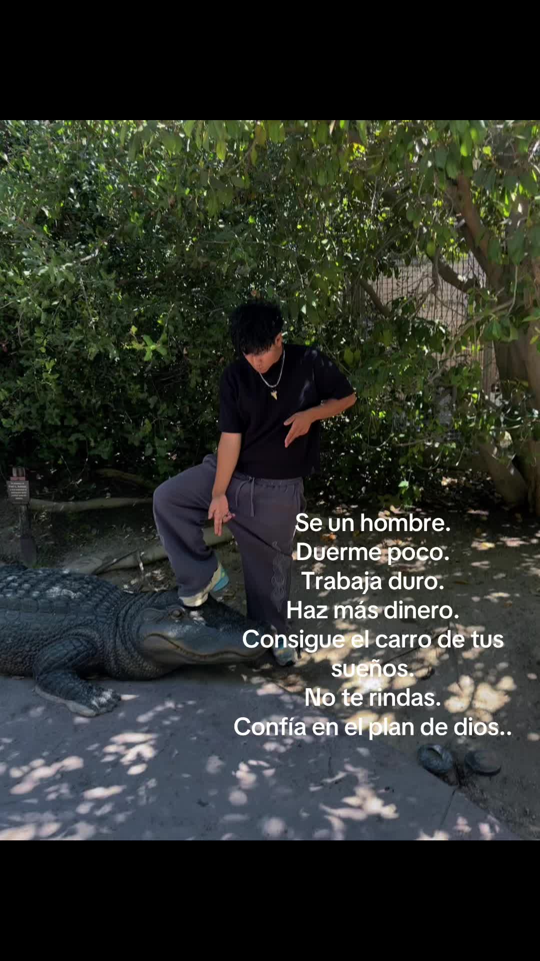@Cuervo 🐦⬛
