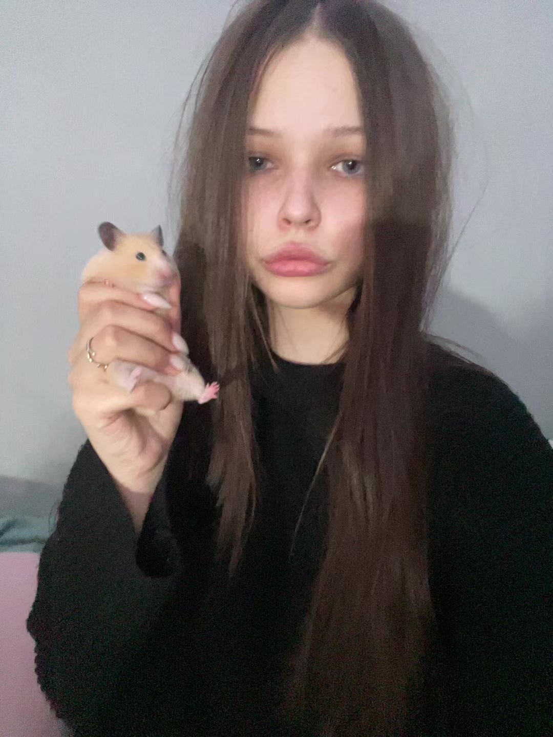 @шизотян