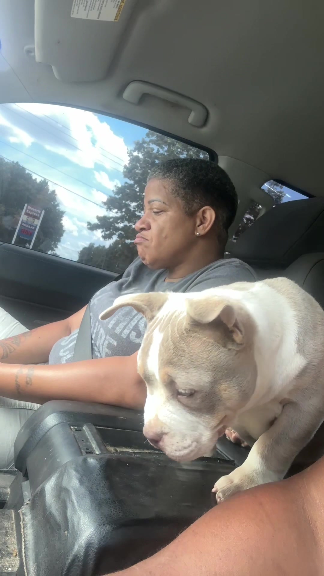 @Carters BullyHub