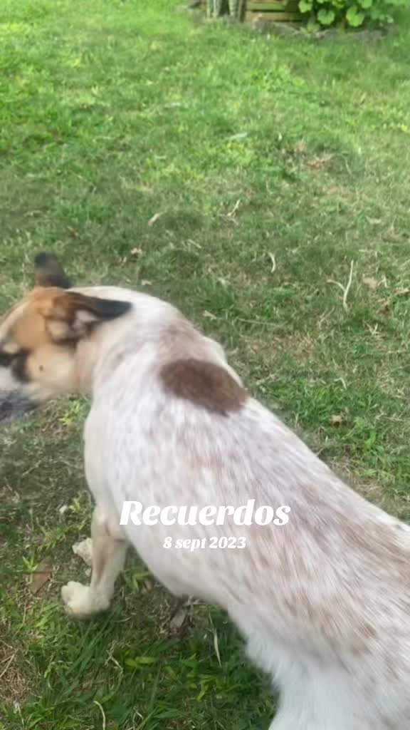 @Marissa Villalba892