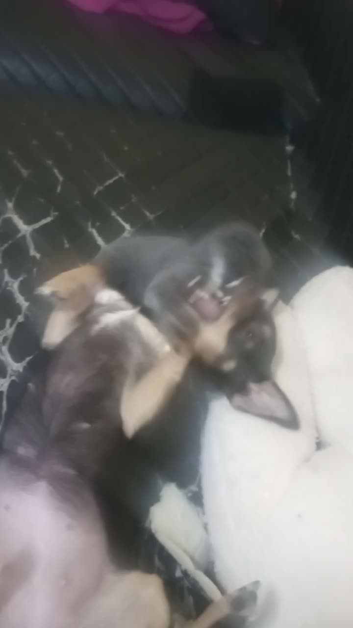 @Артурыч