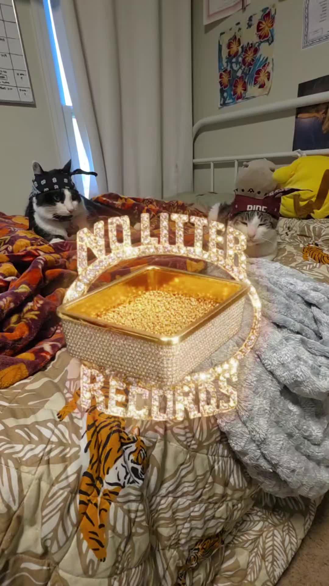 @THUGxedo Cat