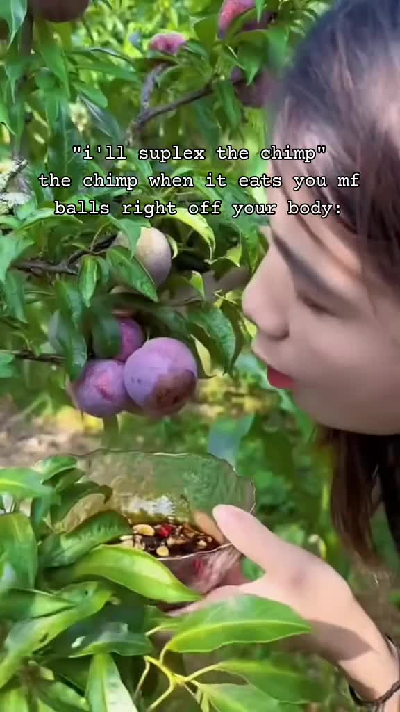 @Paddie Mac
