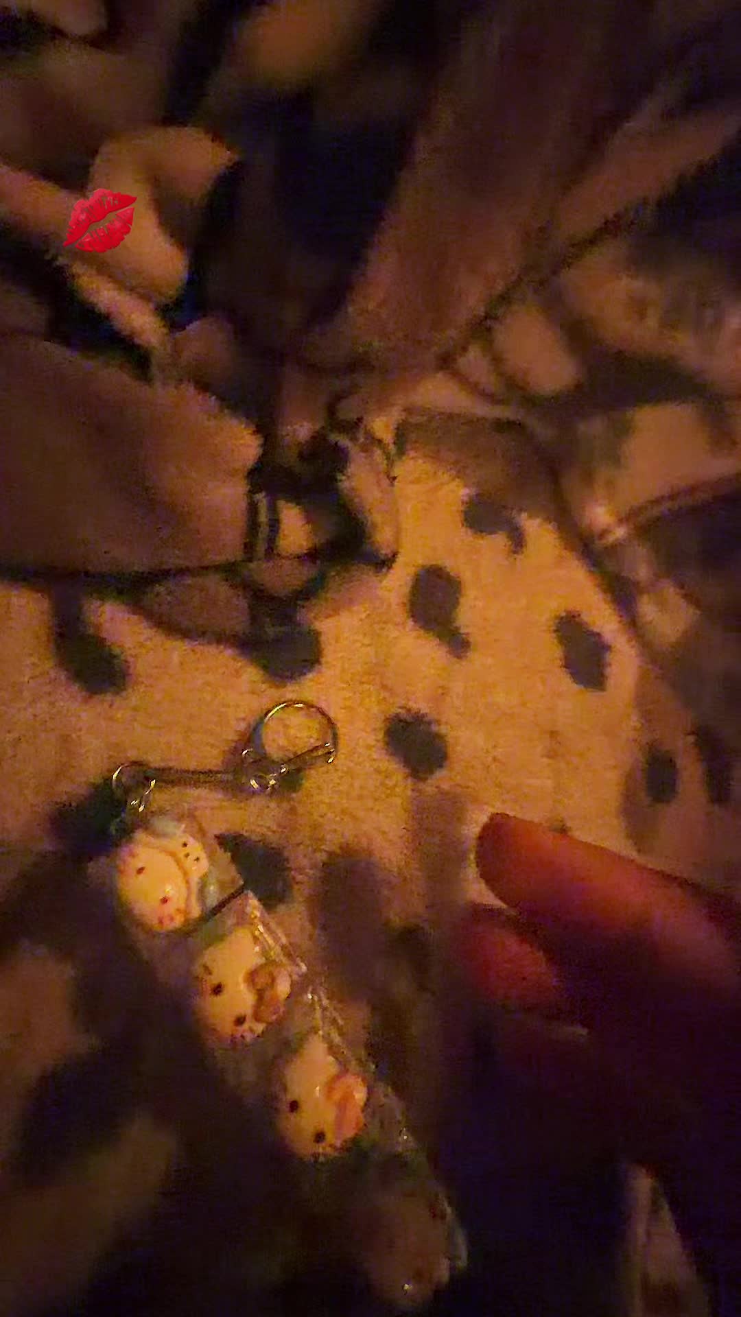 @🐢kocham żółwie🐢