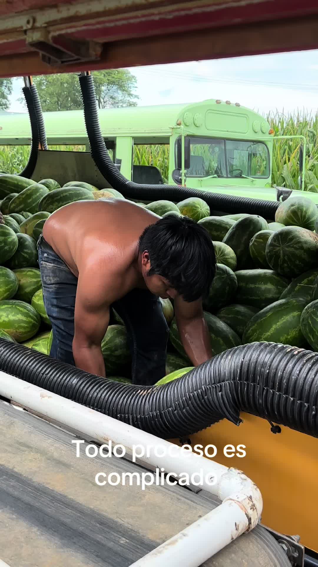 @Juan Ochoa cosechando con amor