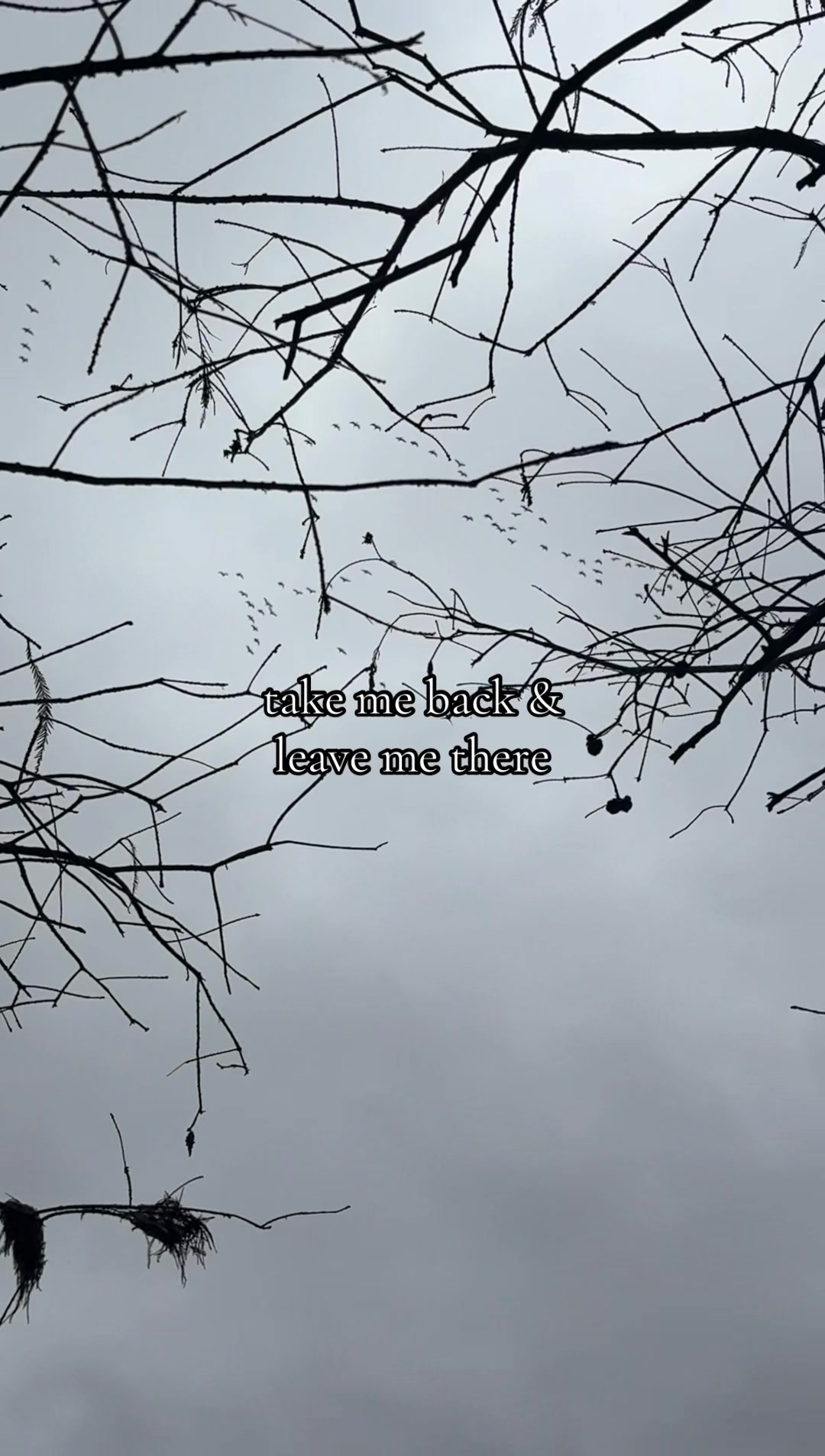 @alyssa 🌾🦌