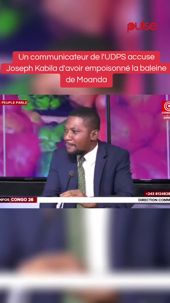 @Pulse Congo