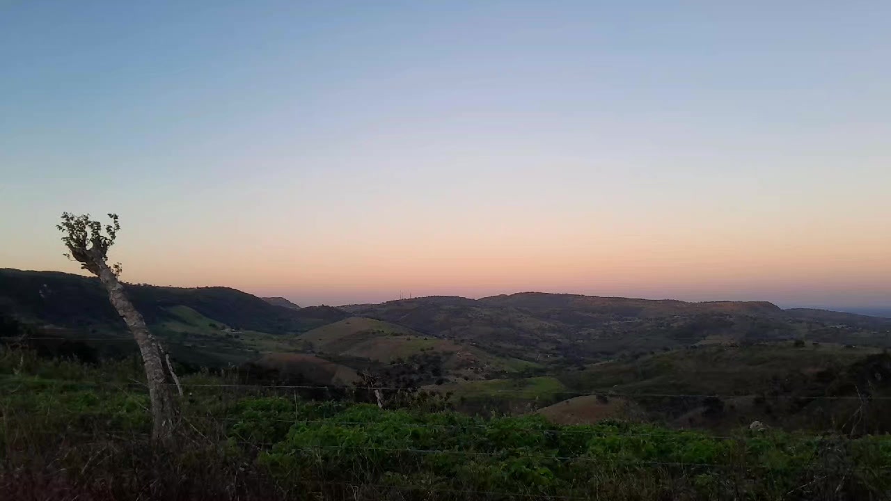 @José Cícero