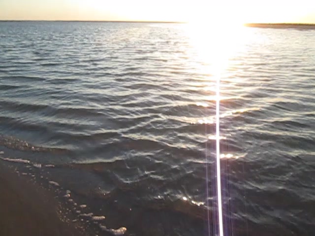 @ֶָ֢