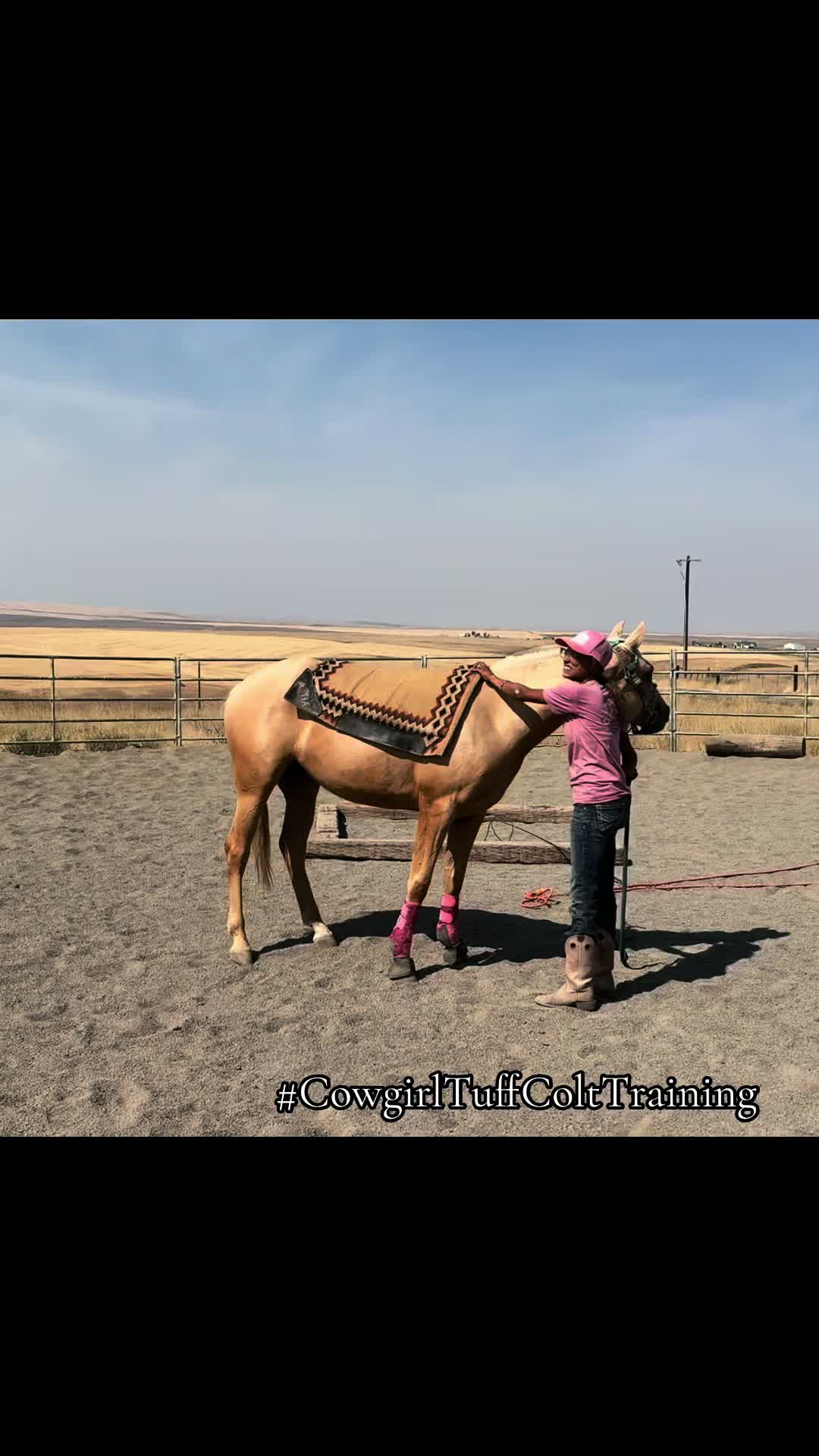 @Cowgirl Tuff Colt Training ❤️