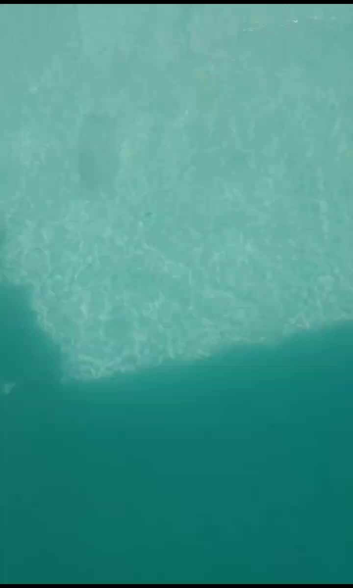 @Tlacuilo