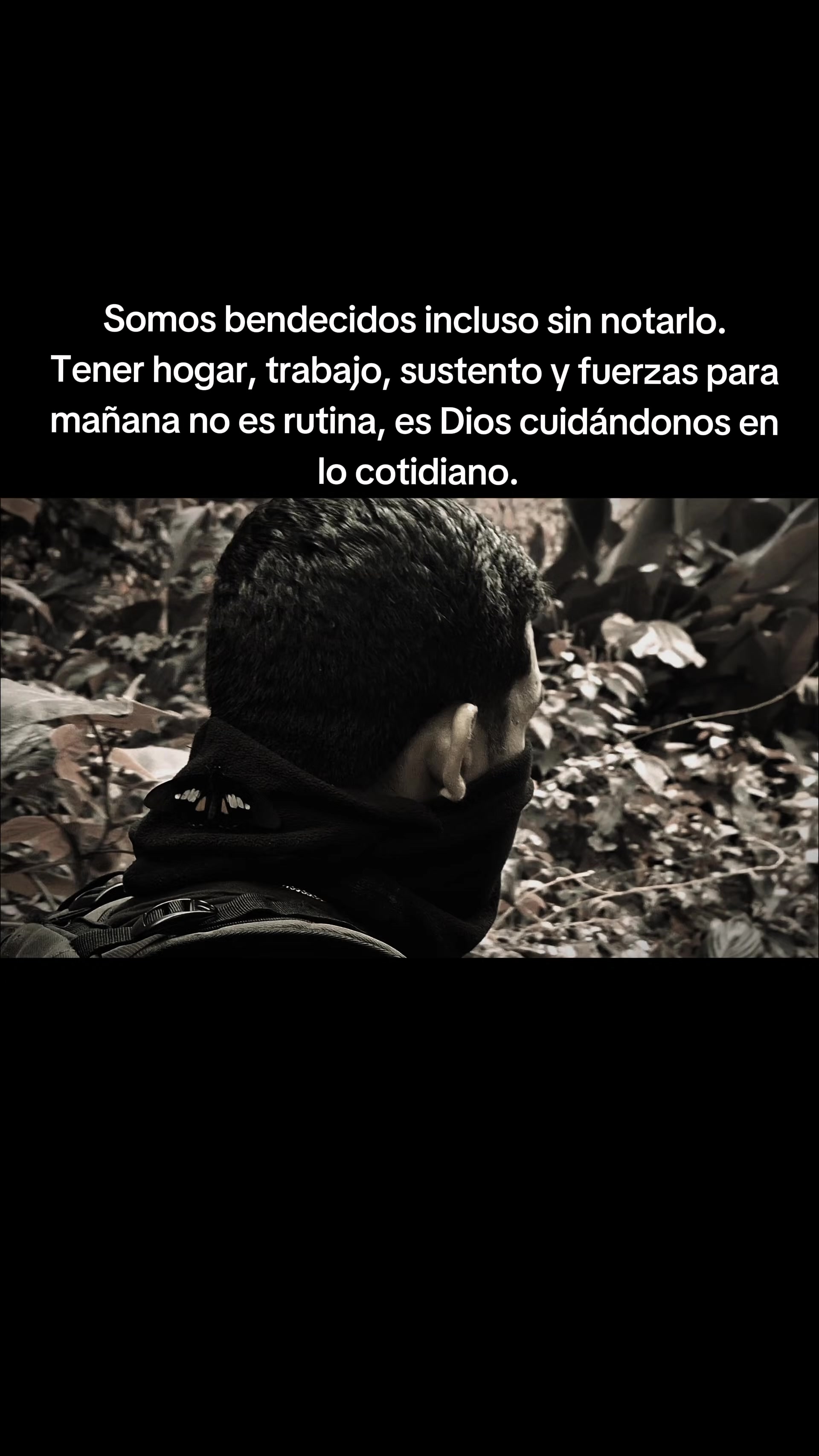 @El-Comis El Rey de la Realidad