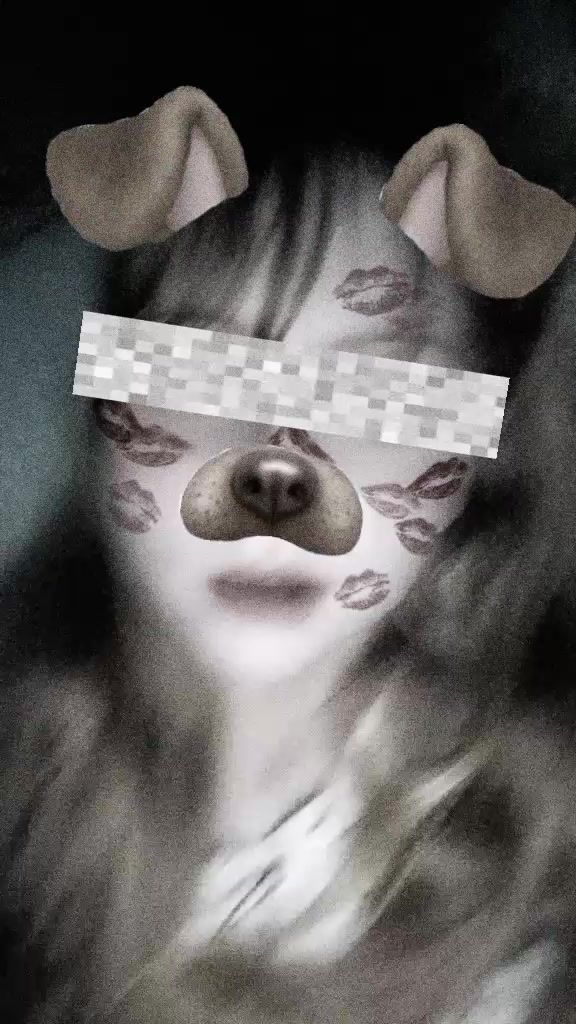 @lennew🐾⭐