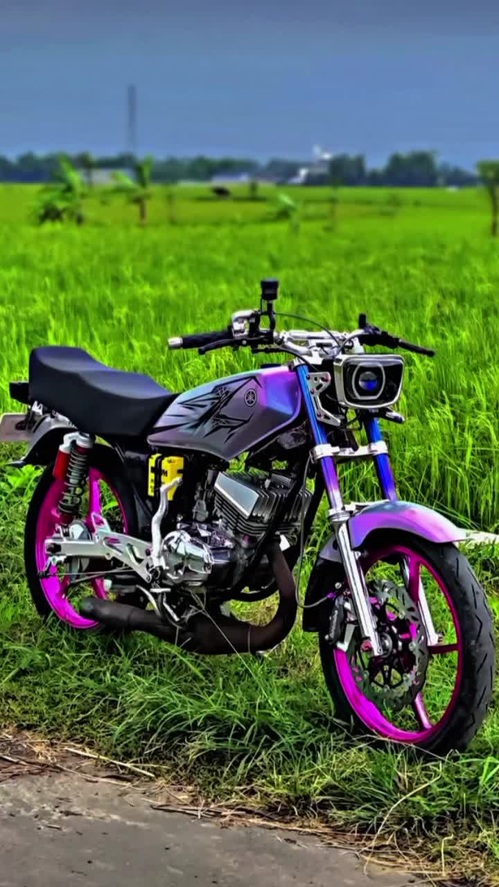 @RX KiNG 135