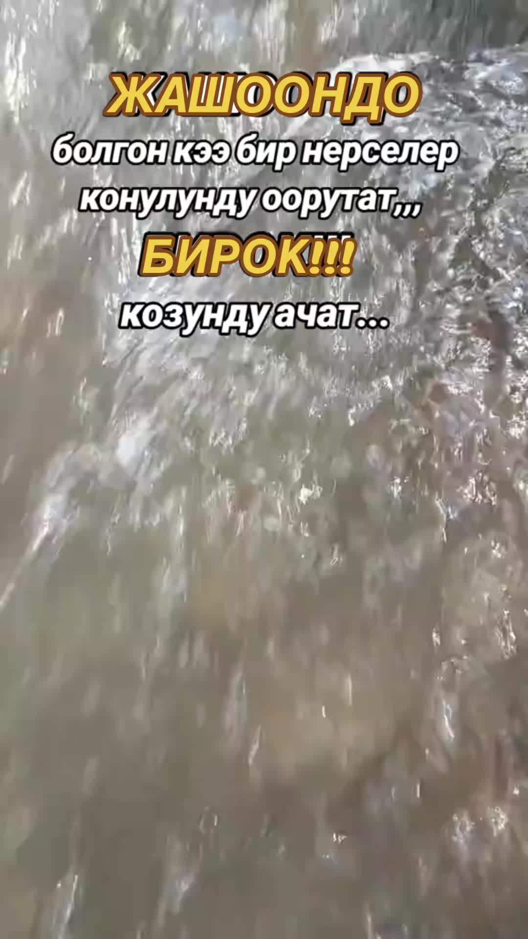 @💫💫ГУЛНАЗ БАТКЕН 76💫💫