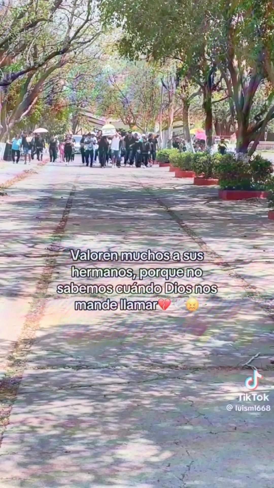 @Salvador