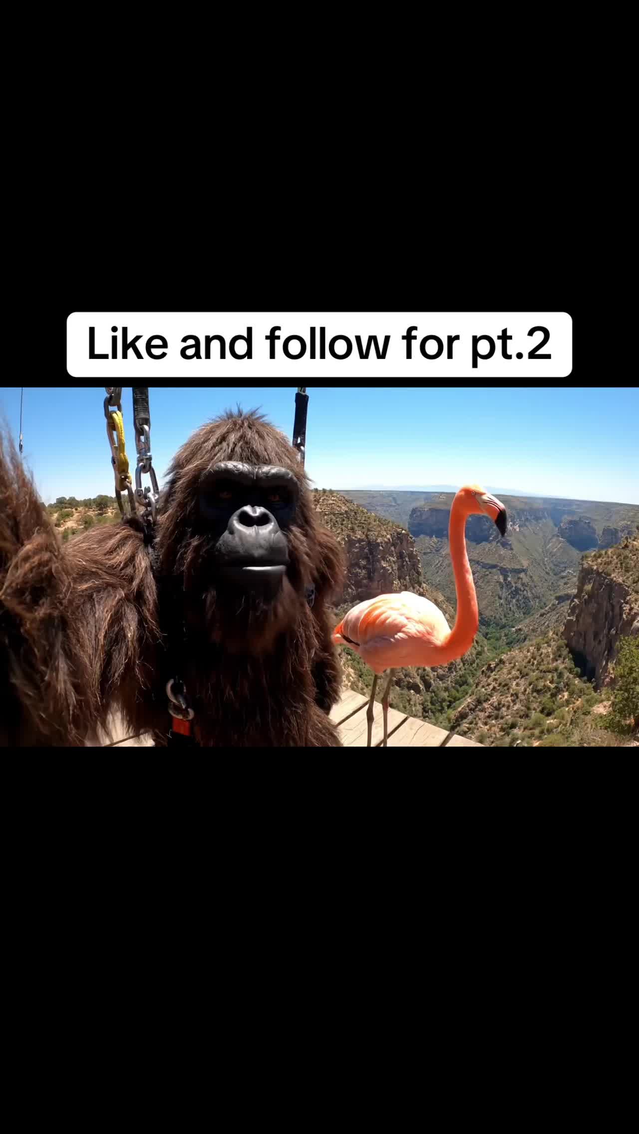 @user58713283948