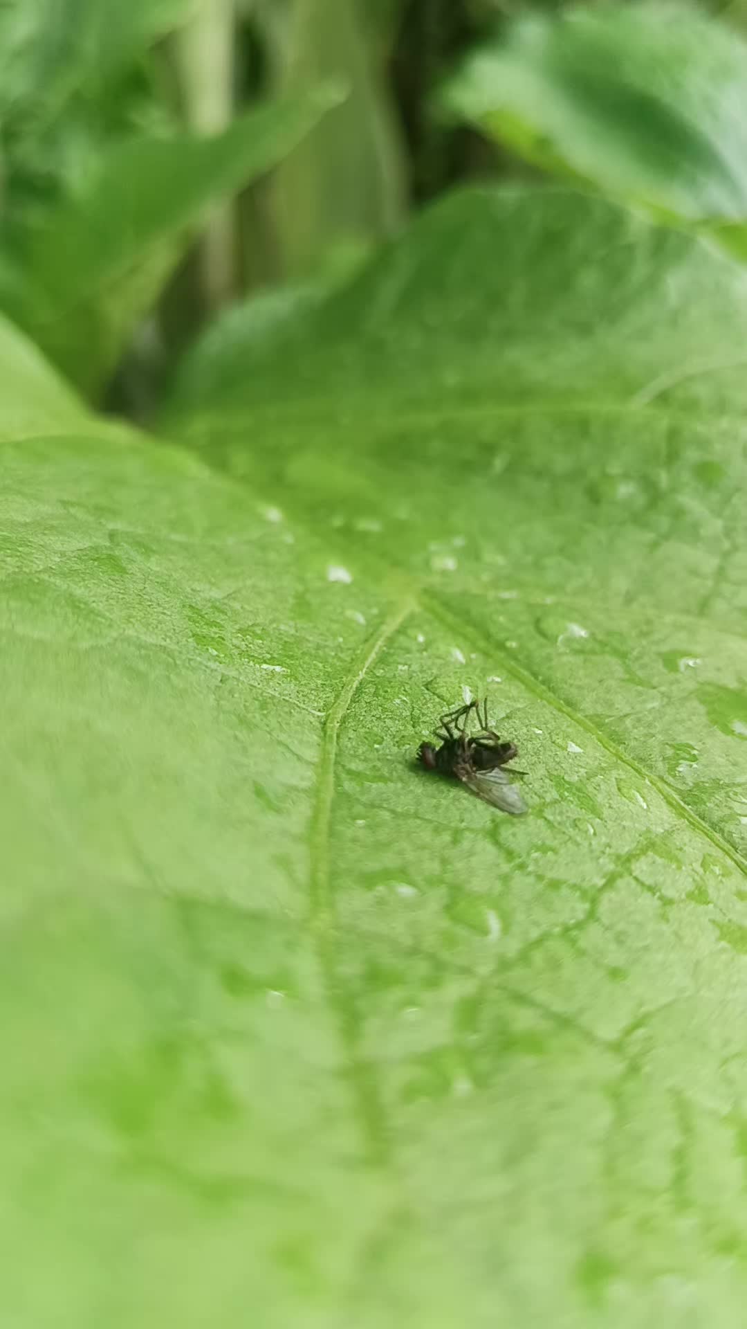@🌱 Jom Berkebun 🌱