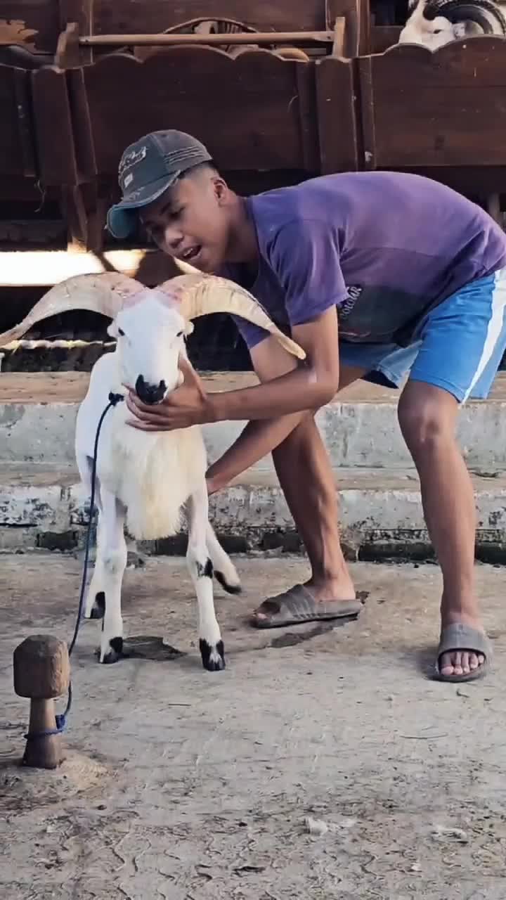 @m.ikbal aditya