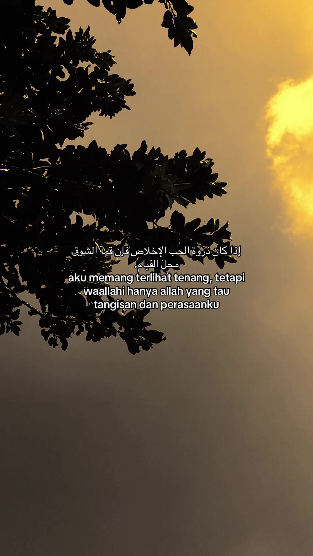 @﷽
