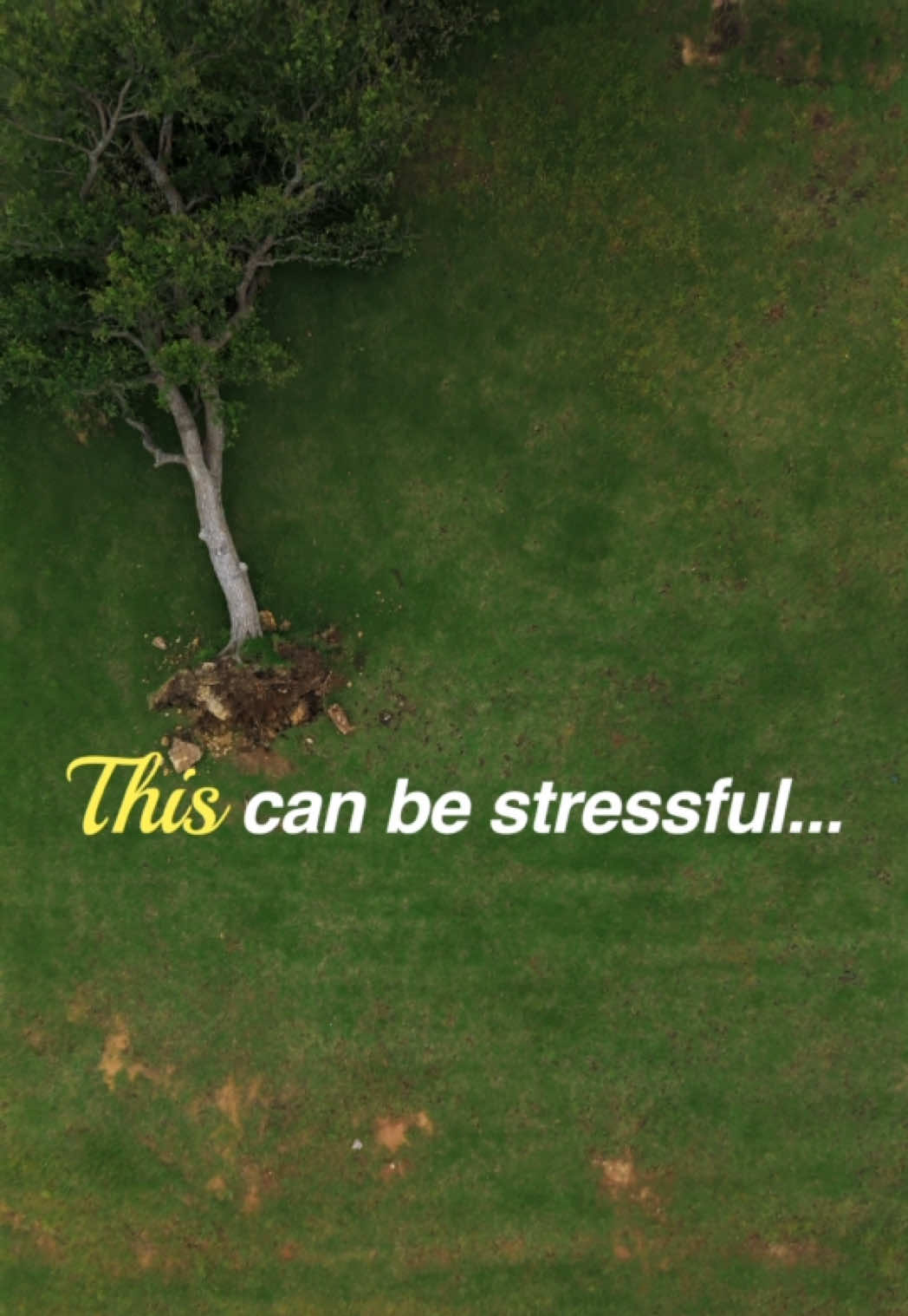 @SPTreeService