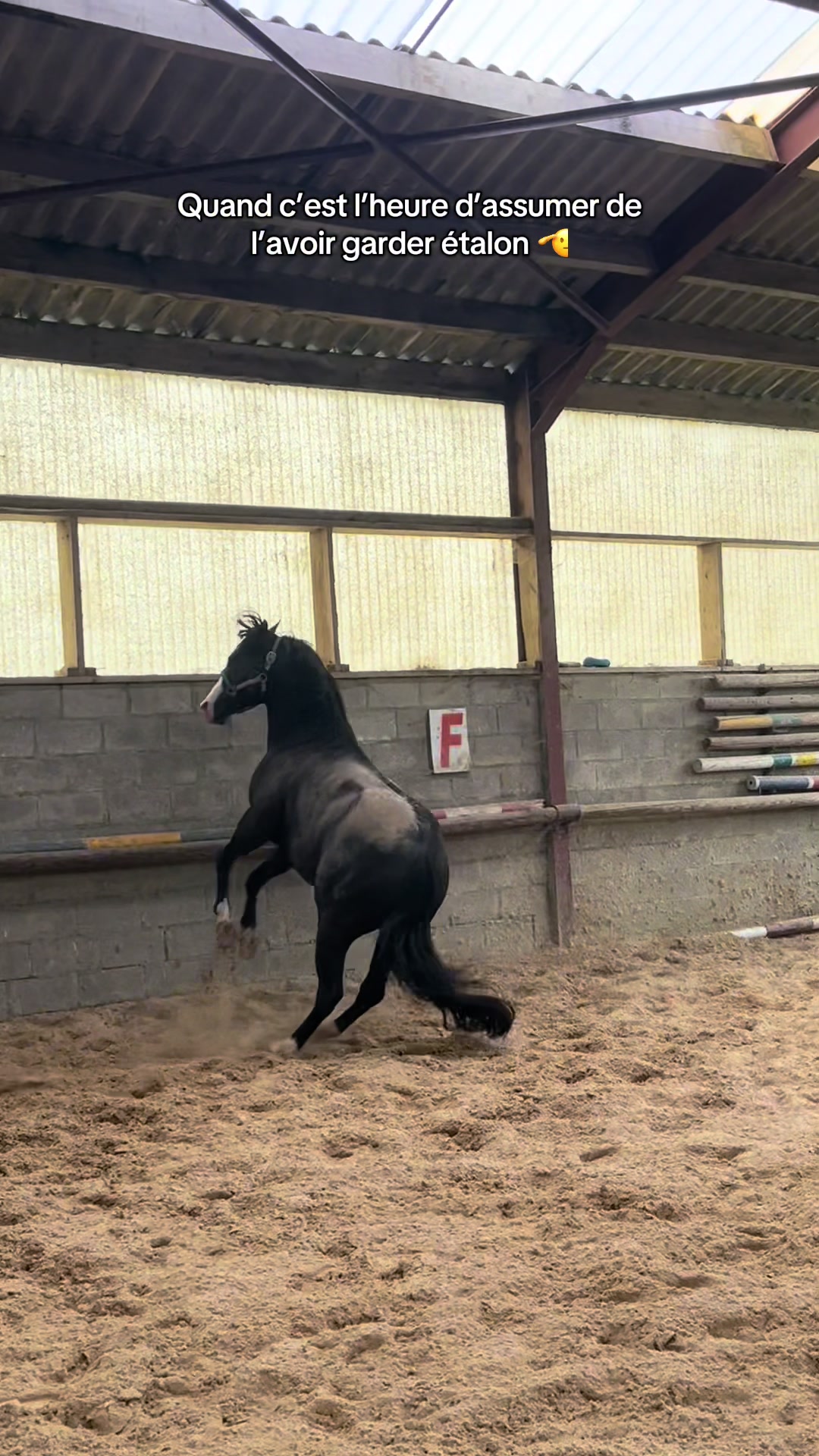 @ℳ𝒶𝓇𝑔𝒶𝓊𝓍🇧🇪