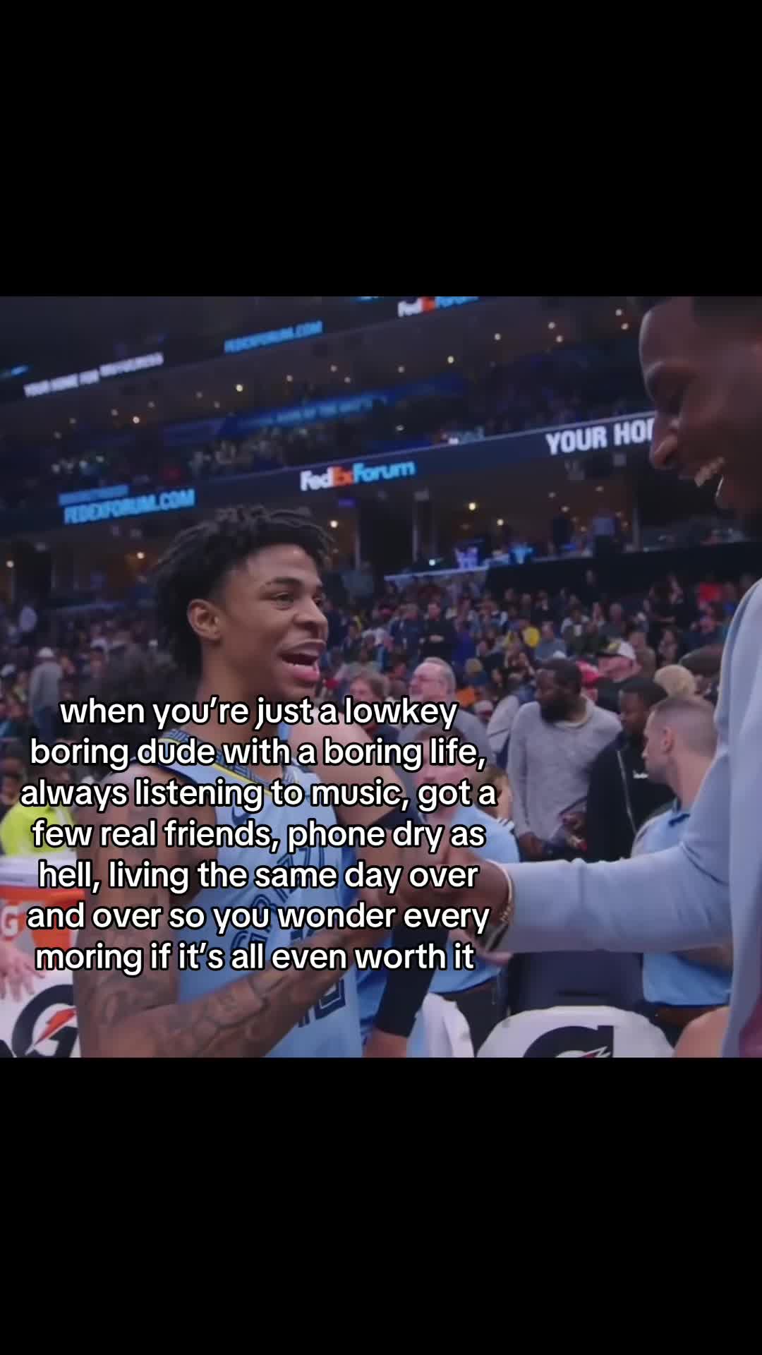 @ant