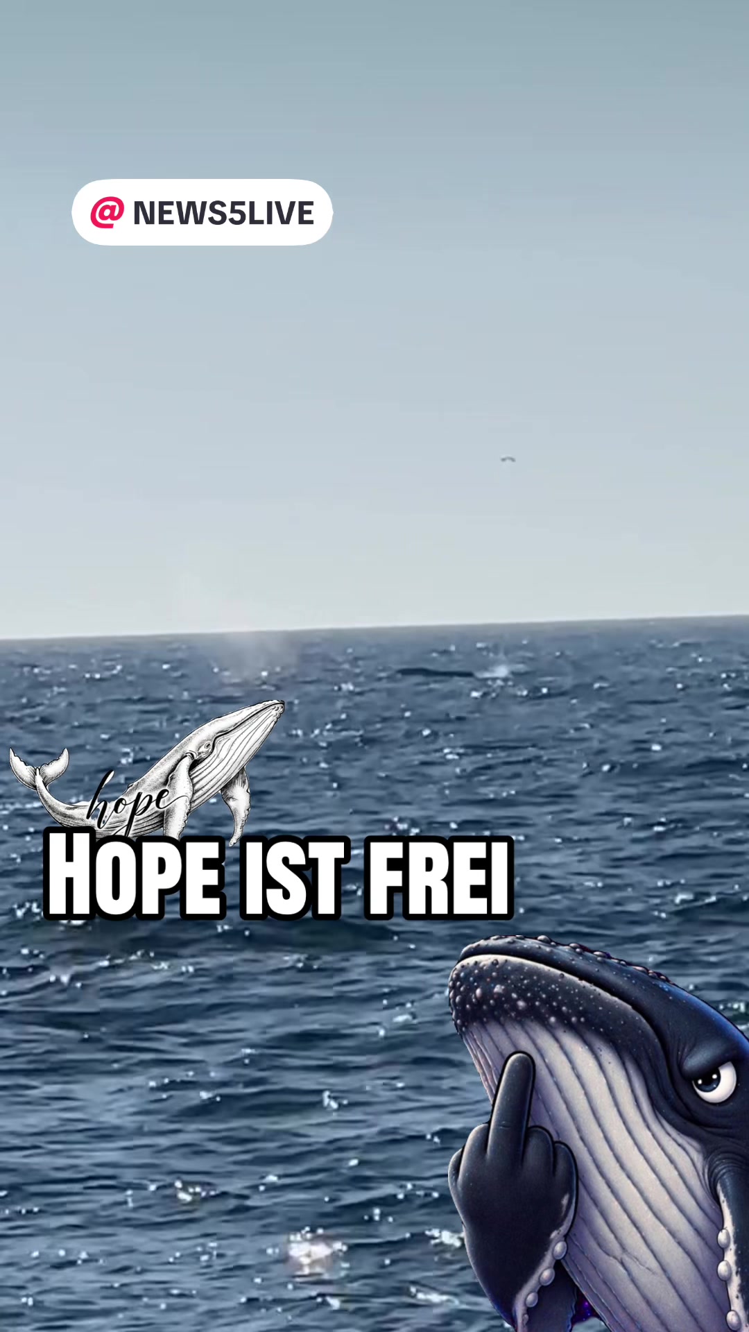 @𝑨𝒏𝒊 🐾 🇩🇪 🦅ᶜʳʸᵖᵉ