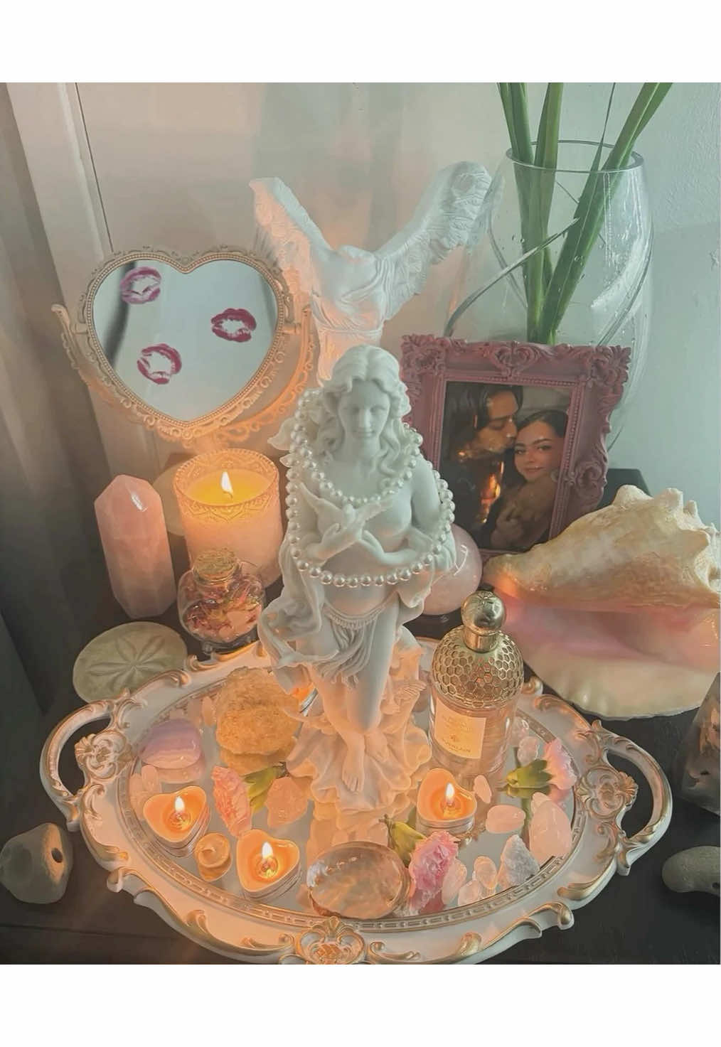 @VENUS ⋆˚꩜｡