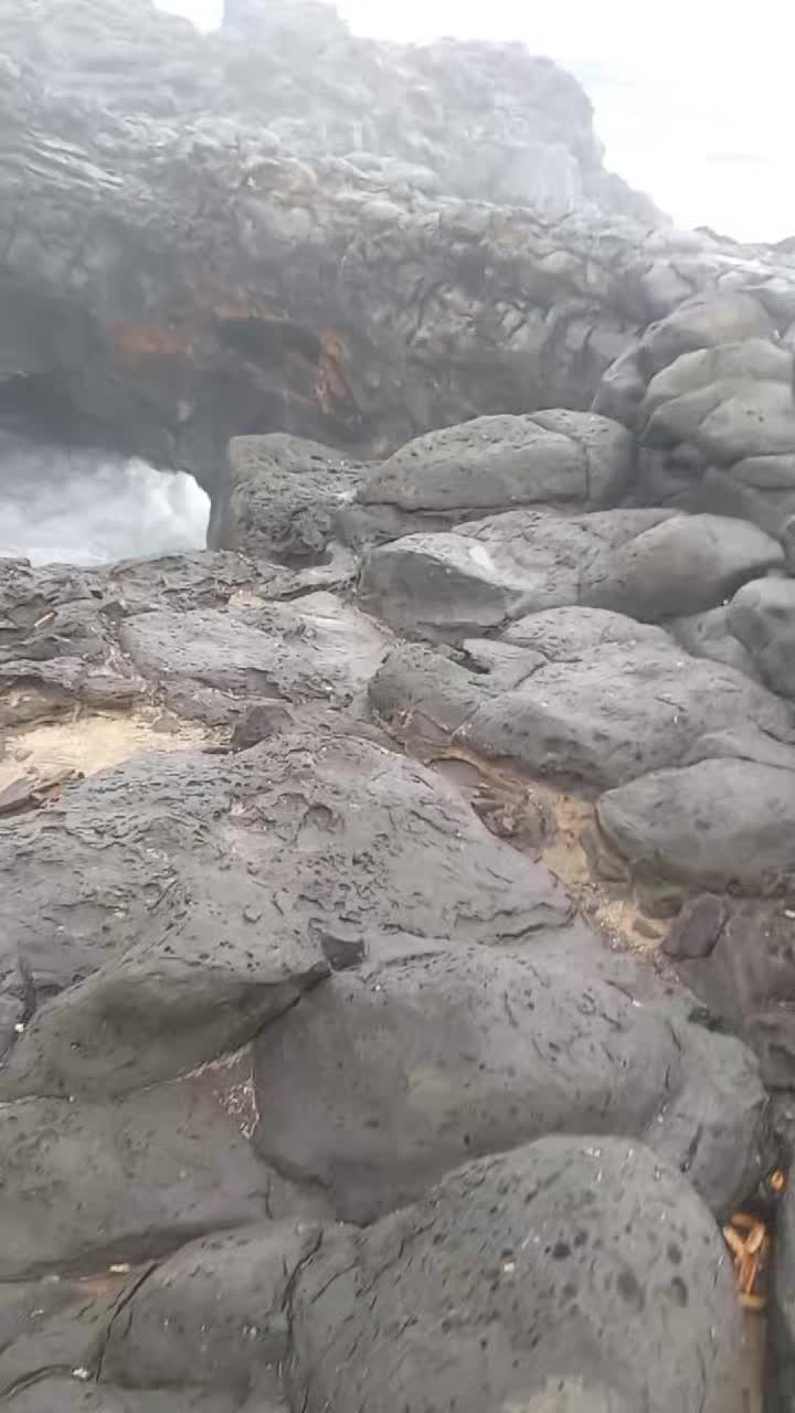 @Pooja kaushik Ramputty