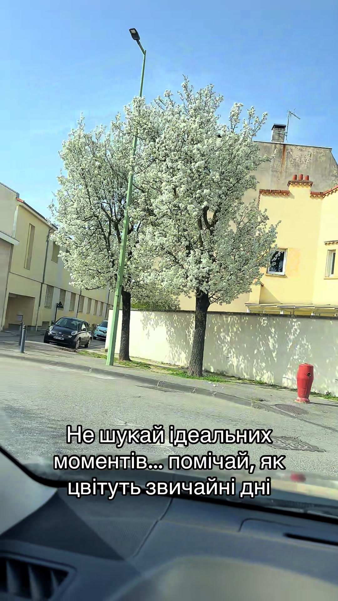 @Sweetie-kitty