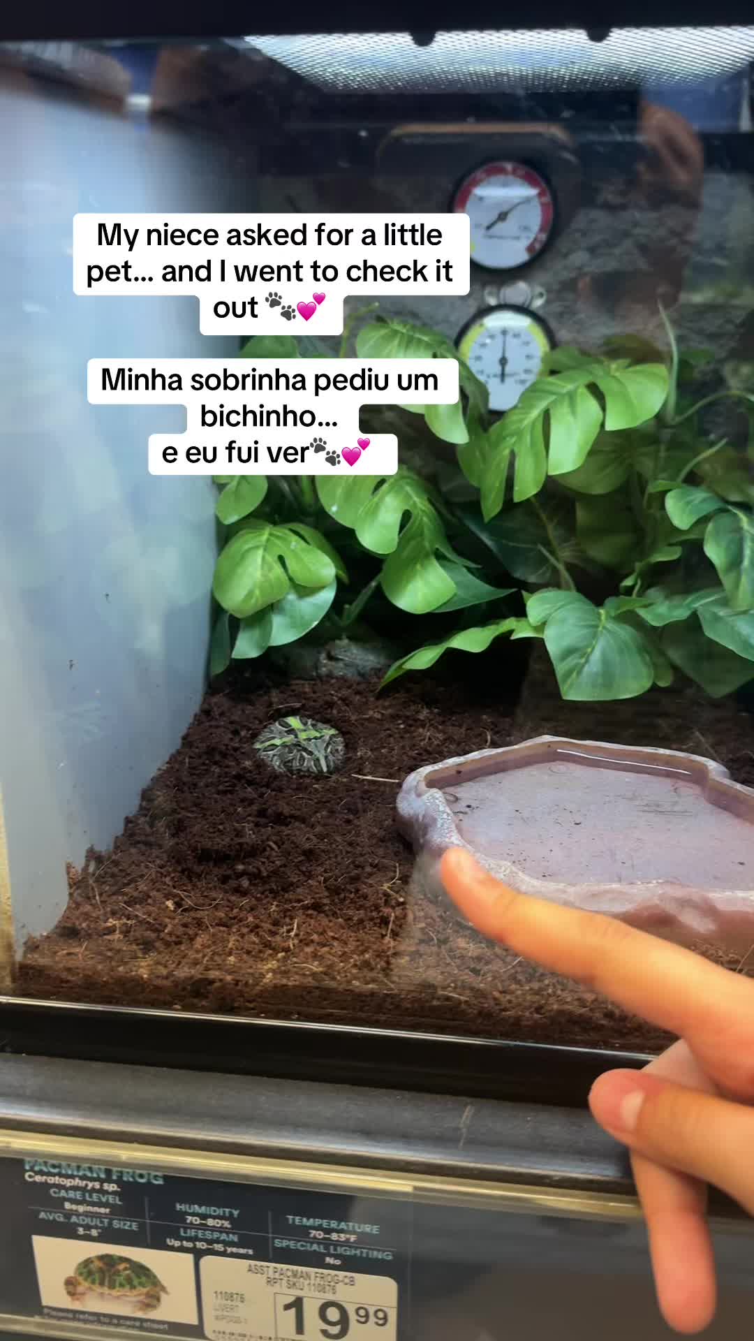 @Rafaxhi
