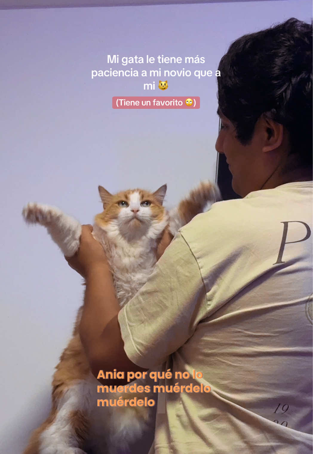 @M.A.S 🐶😼😸 | Gracce