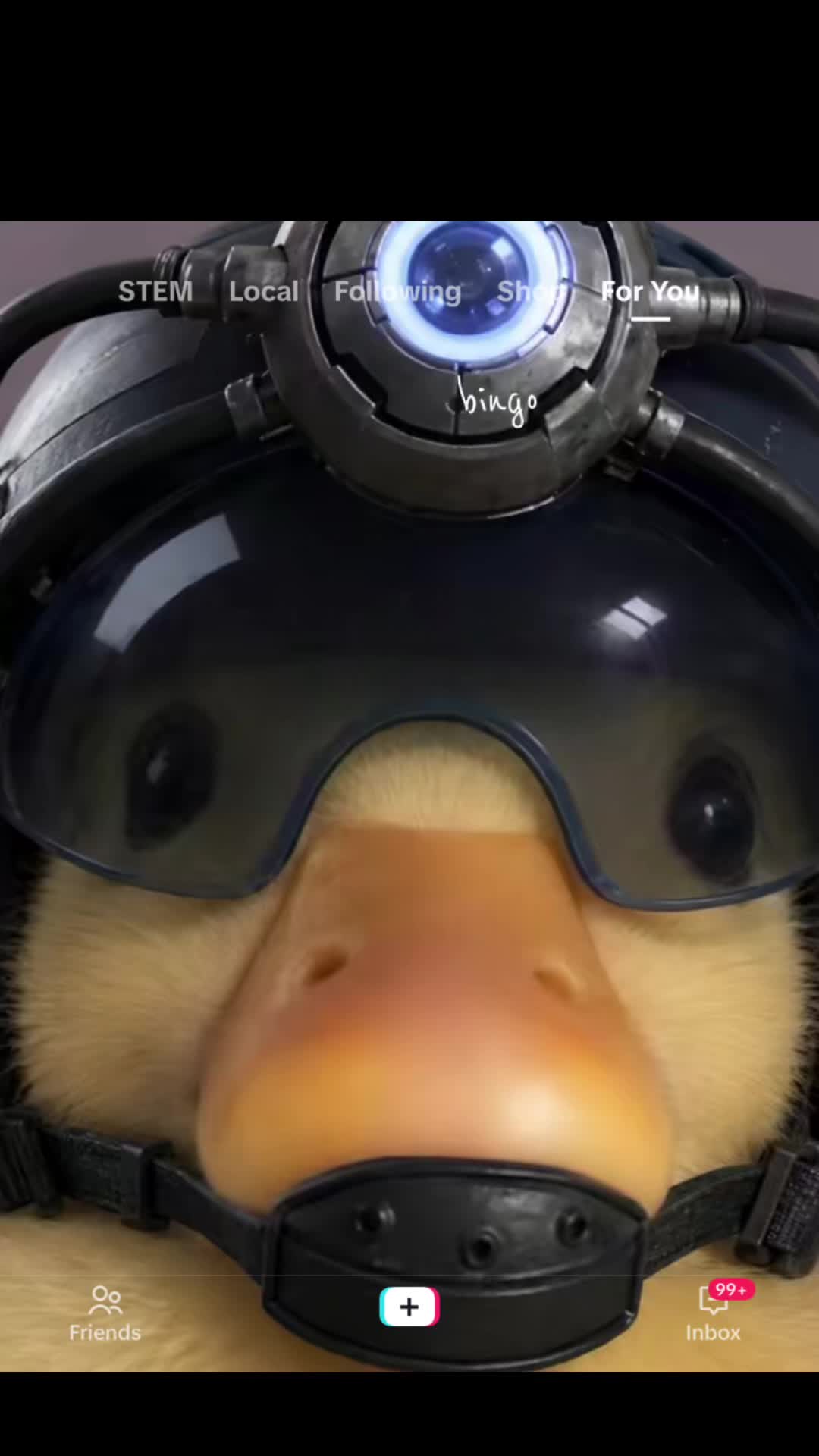 @Duck army
