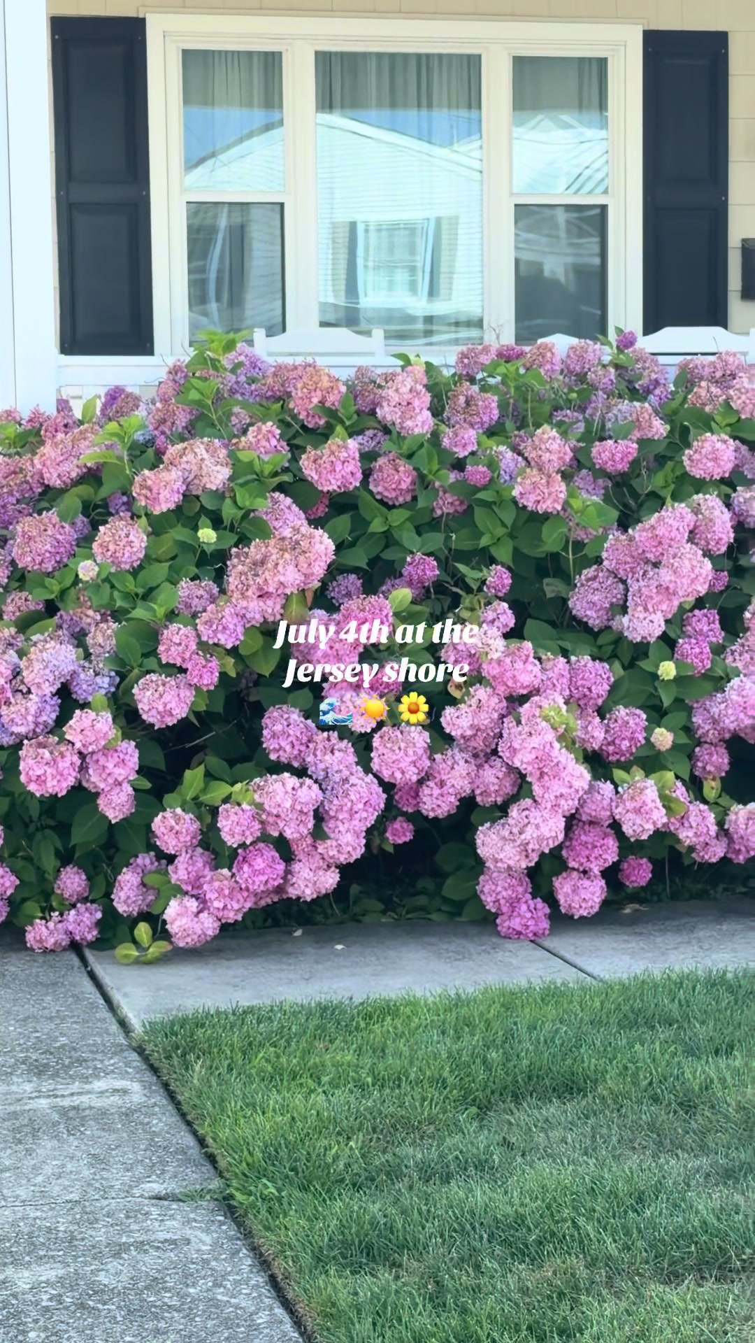 @adriannaiafolla