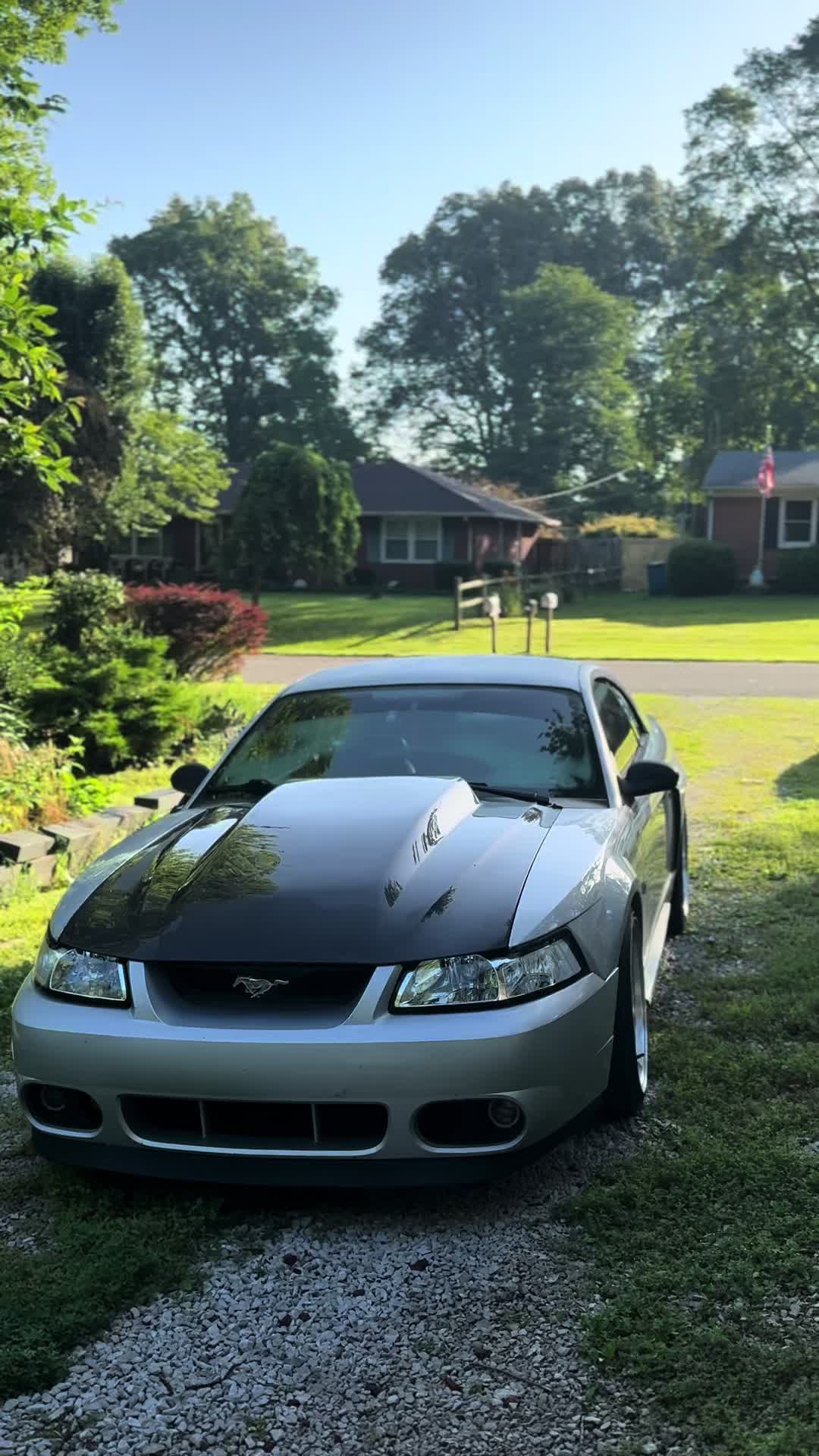 @Midnightpurp2v