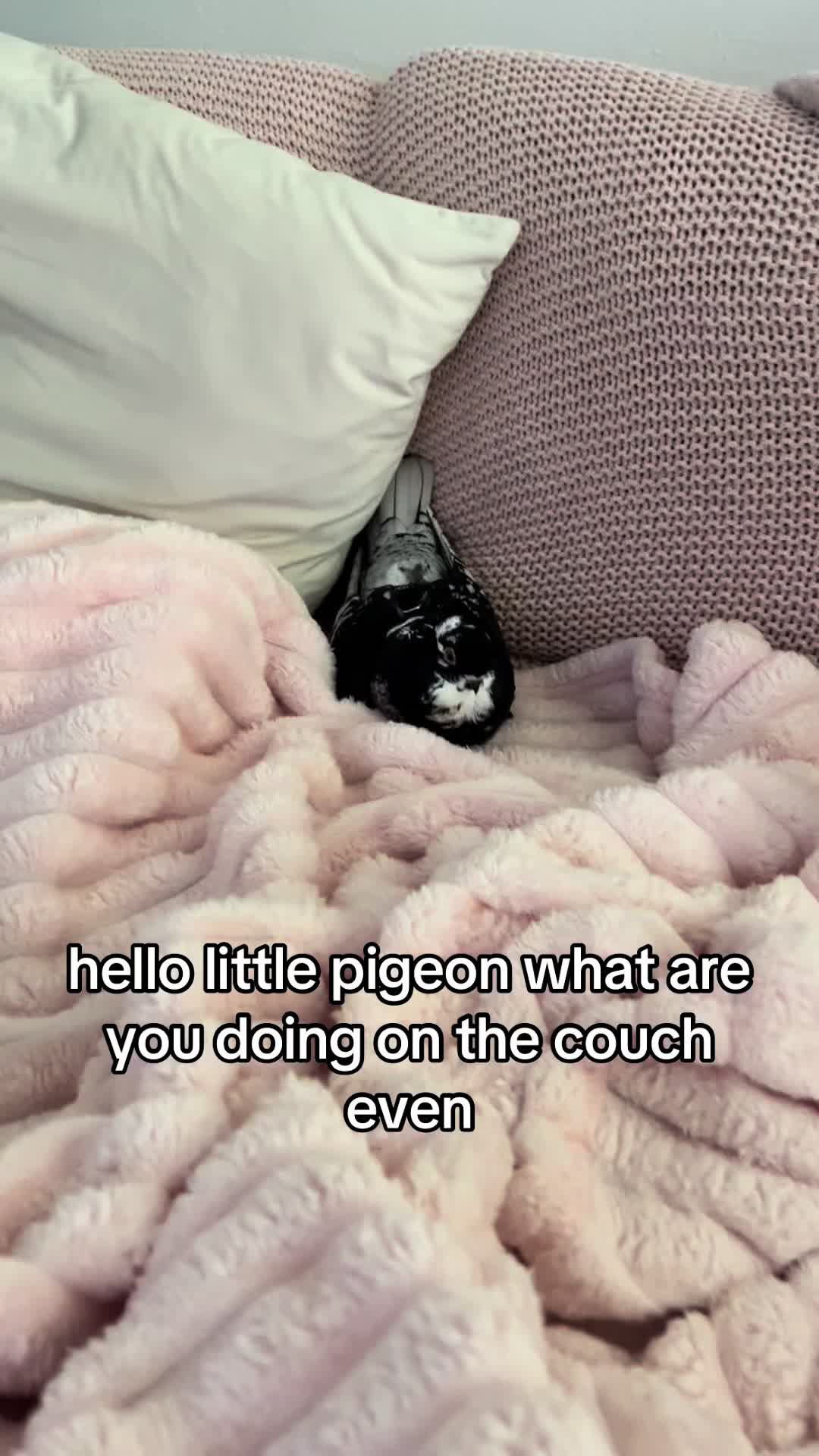 @dulciewulciee
