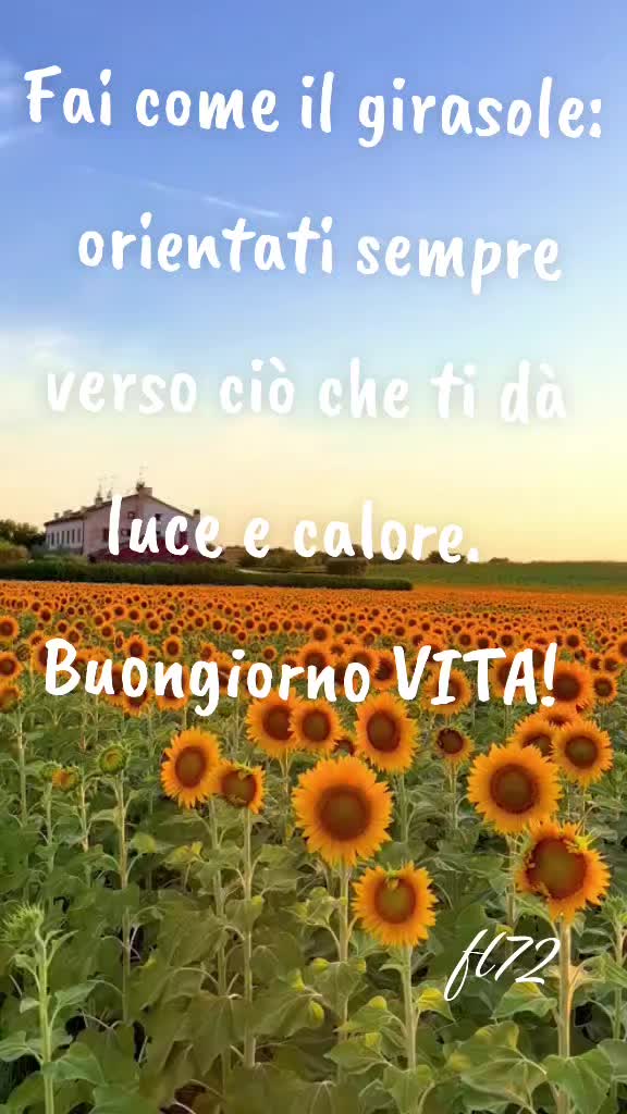 @Francesco Leonetti