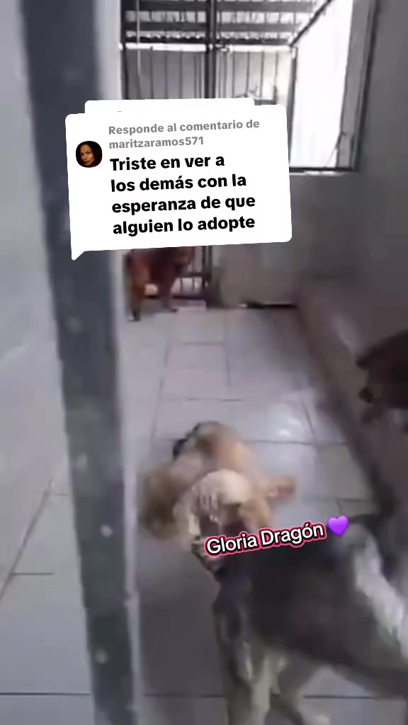 @Gloria Arellano Ramirez