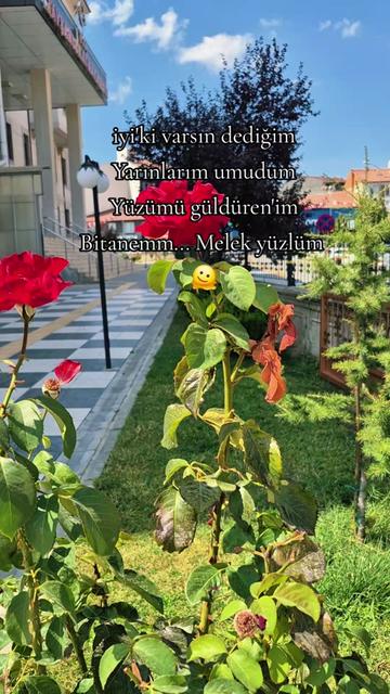 @deniz_yildizi43⭐️⭐️⭐️