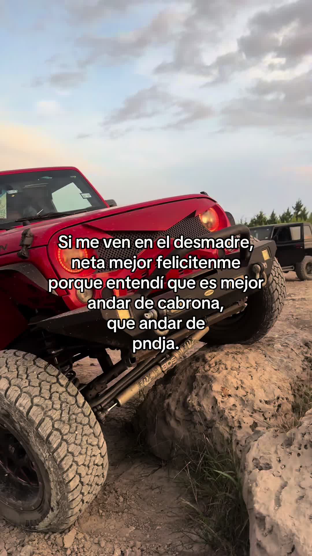 @LiliATX 🌵