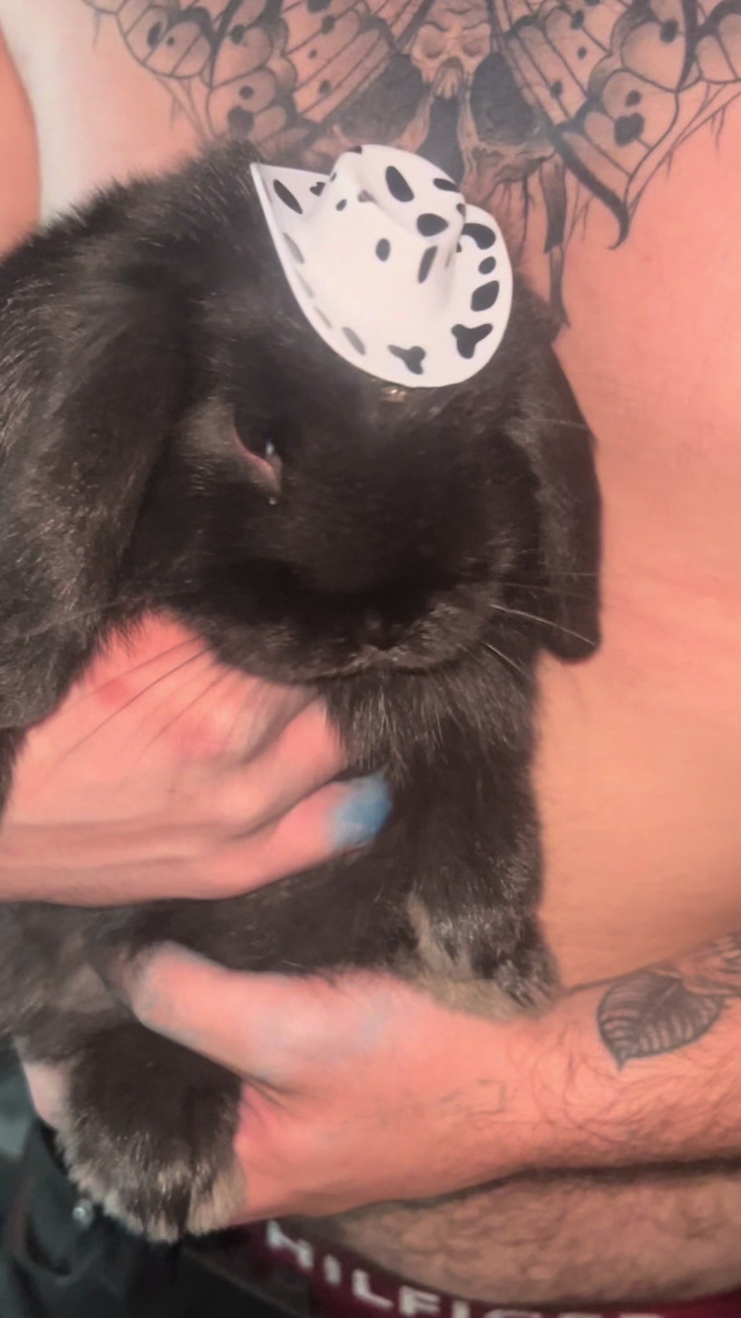 @🦨juno🔨
