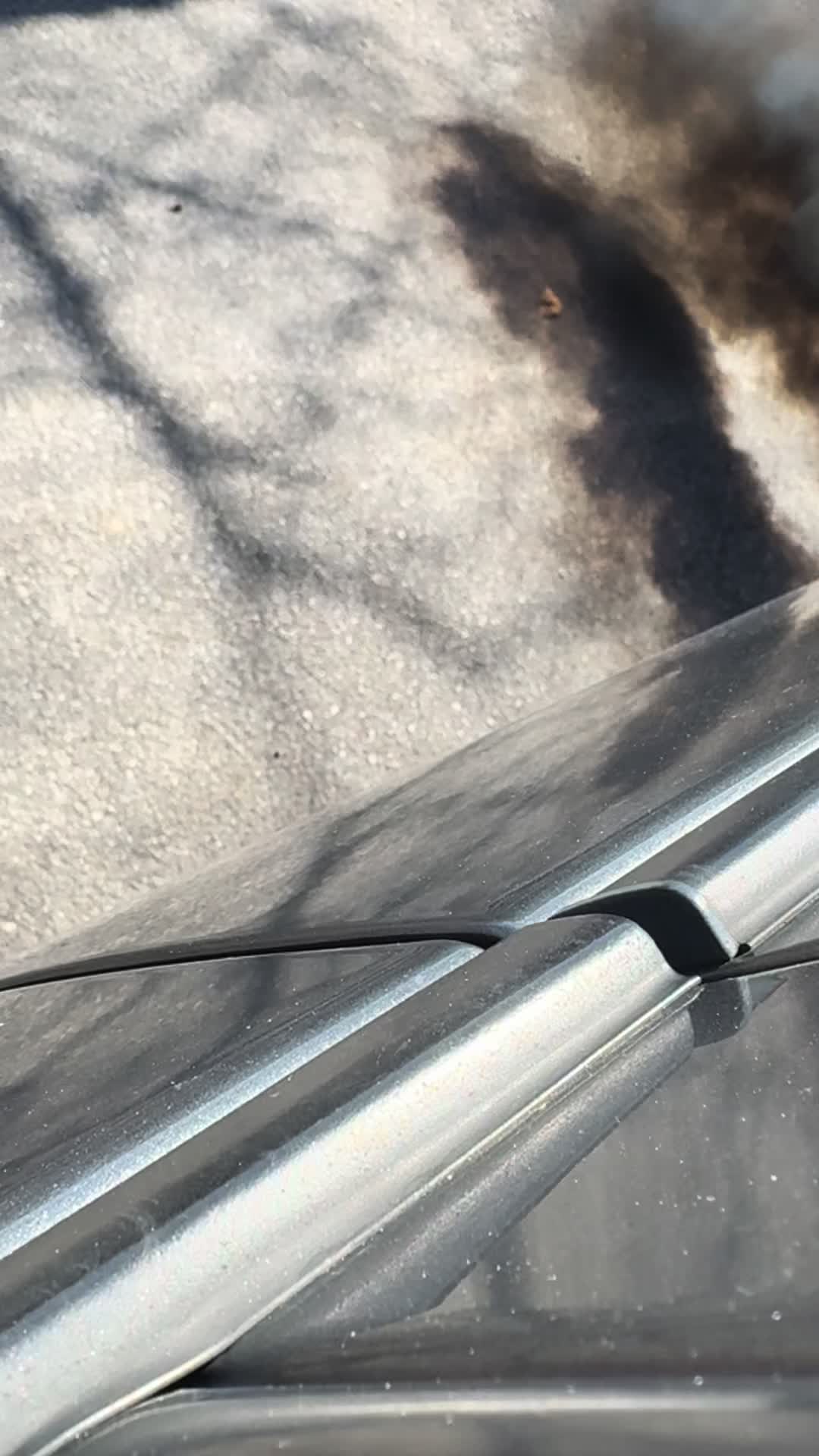 @Poorduckfarmer