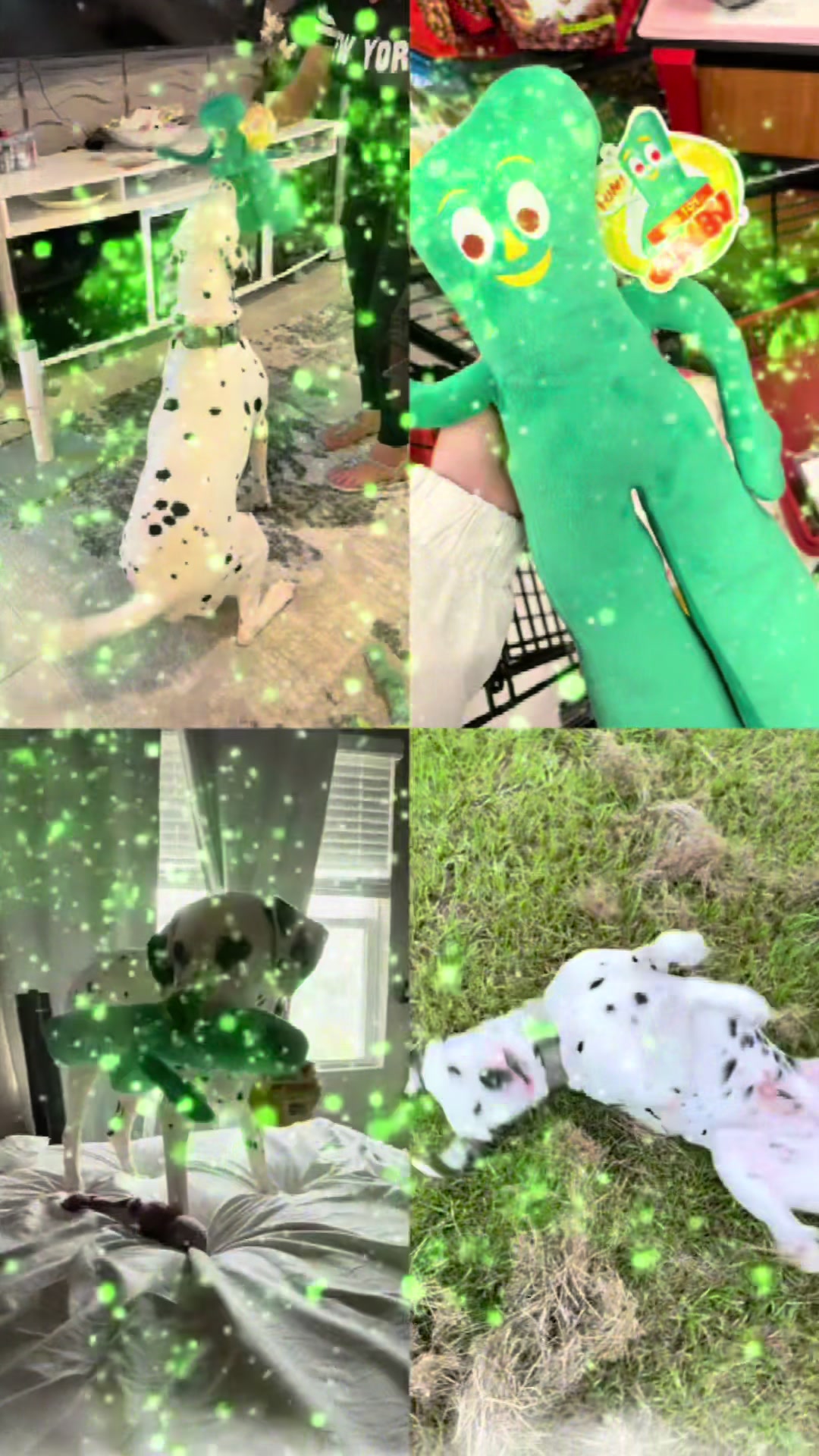 @Spottedchaos