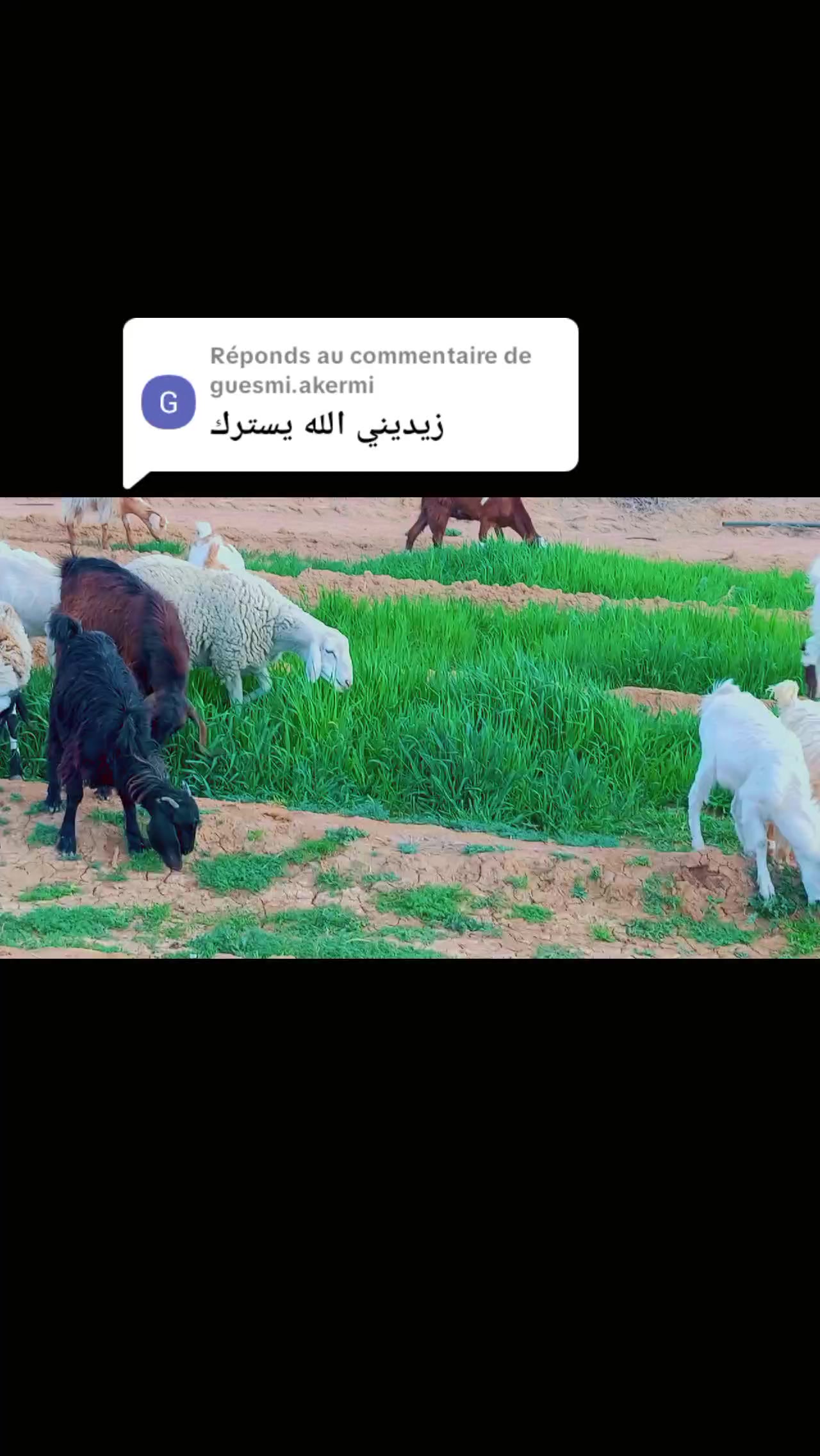@اسماعيل خليل