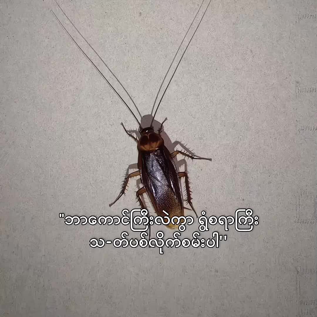 @𝗮𝗲𝗰𝗿𝗮𝗻